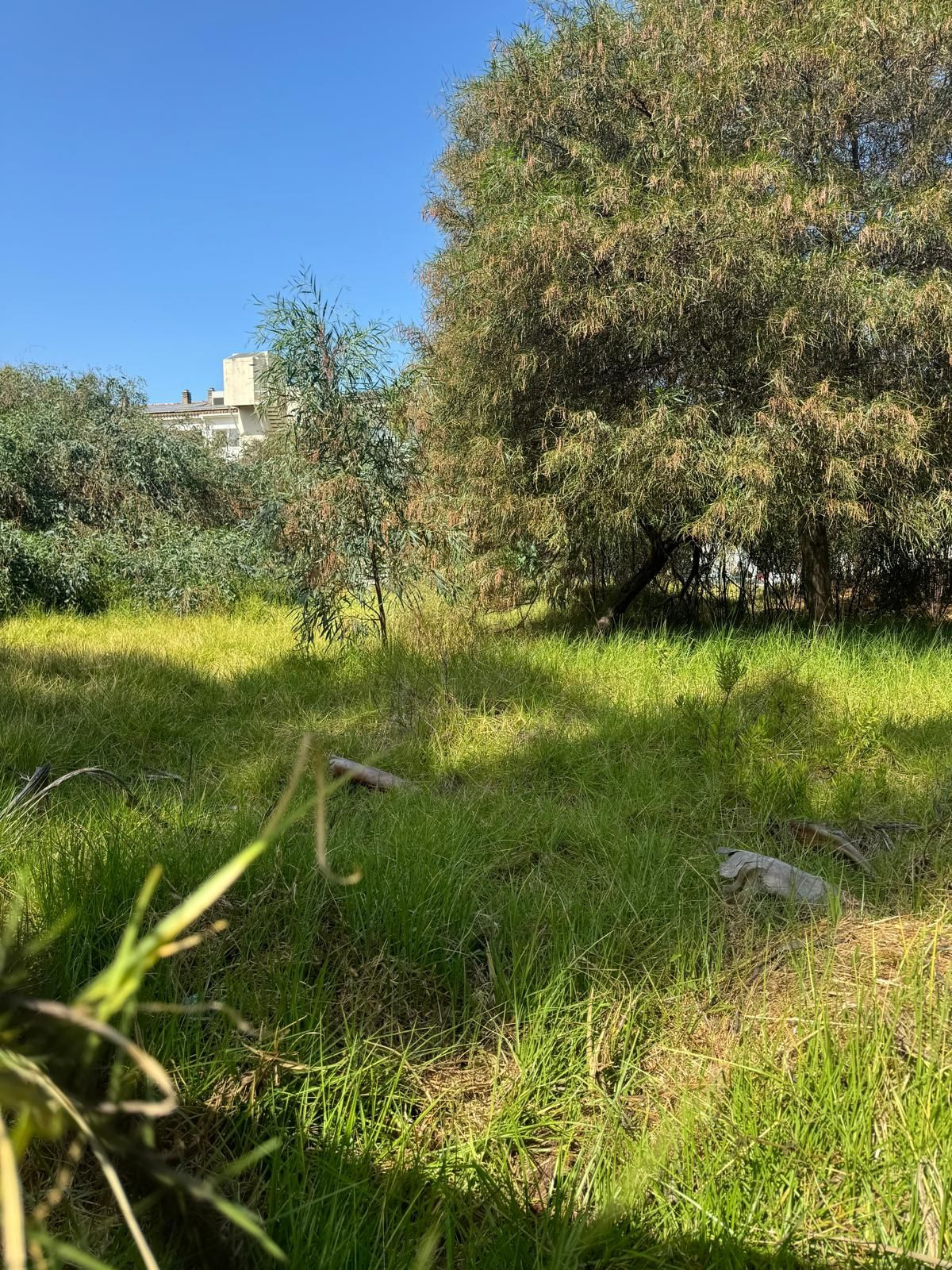 Huis te koop in Atalaya | 0 slaapkamers H5425228