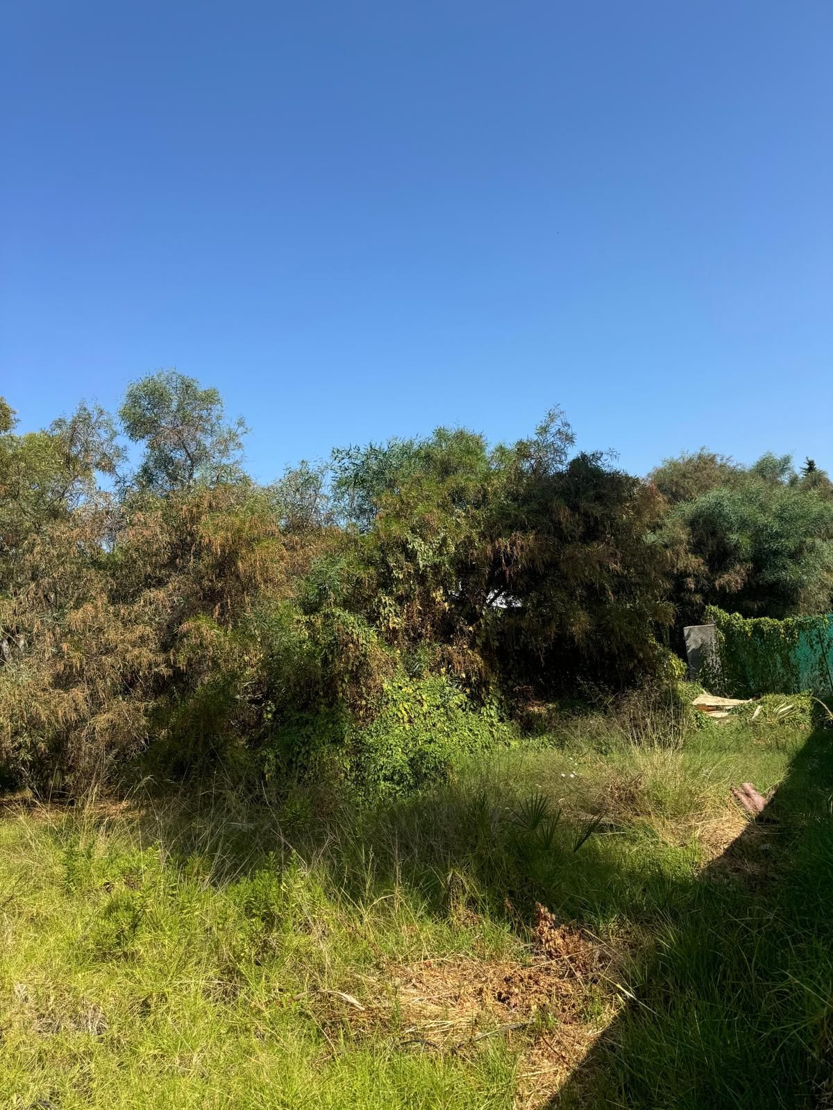 Huis te koop in Atalaya | 0 slaapkamers H5425228