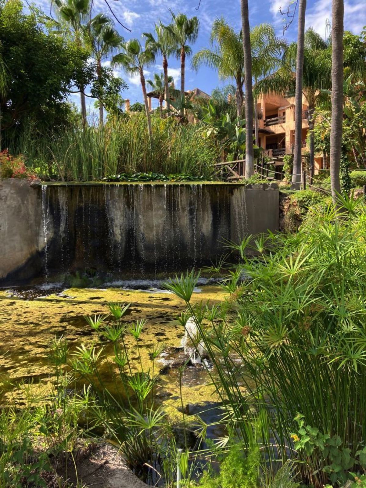 Property main view 19