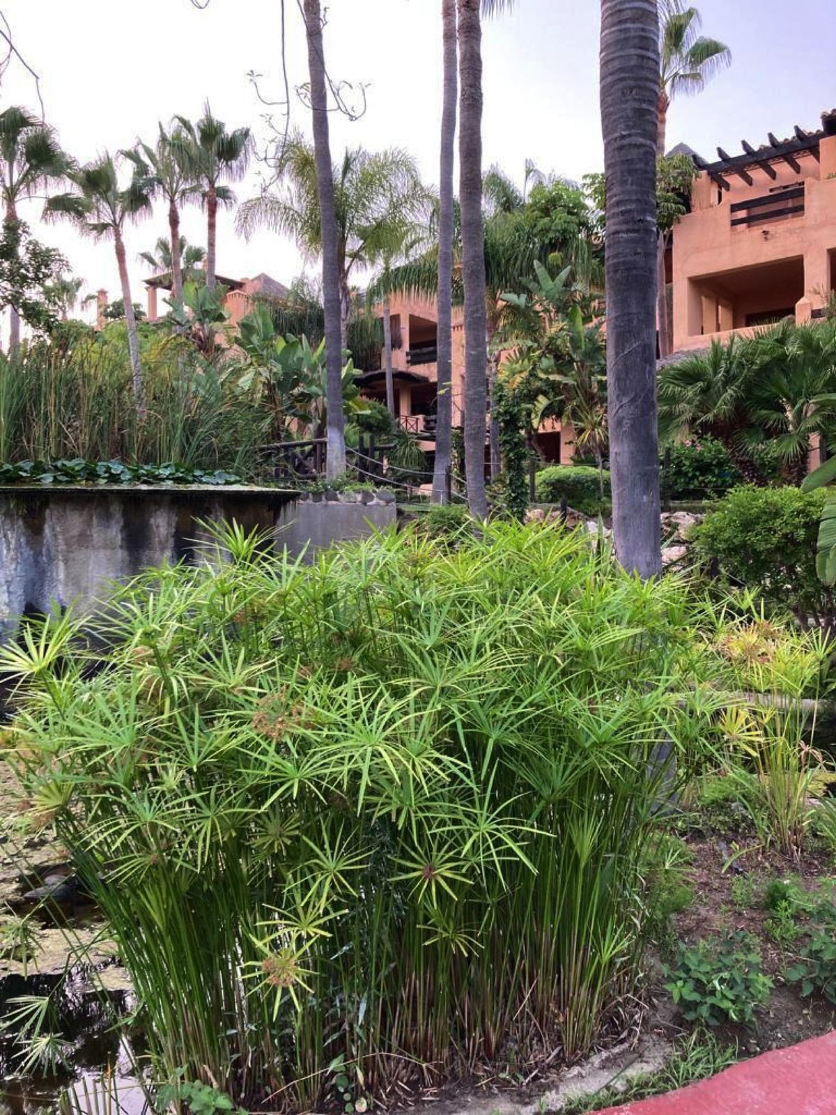 Property main view 20