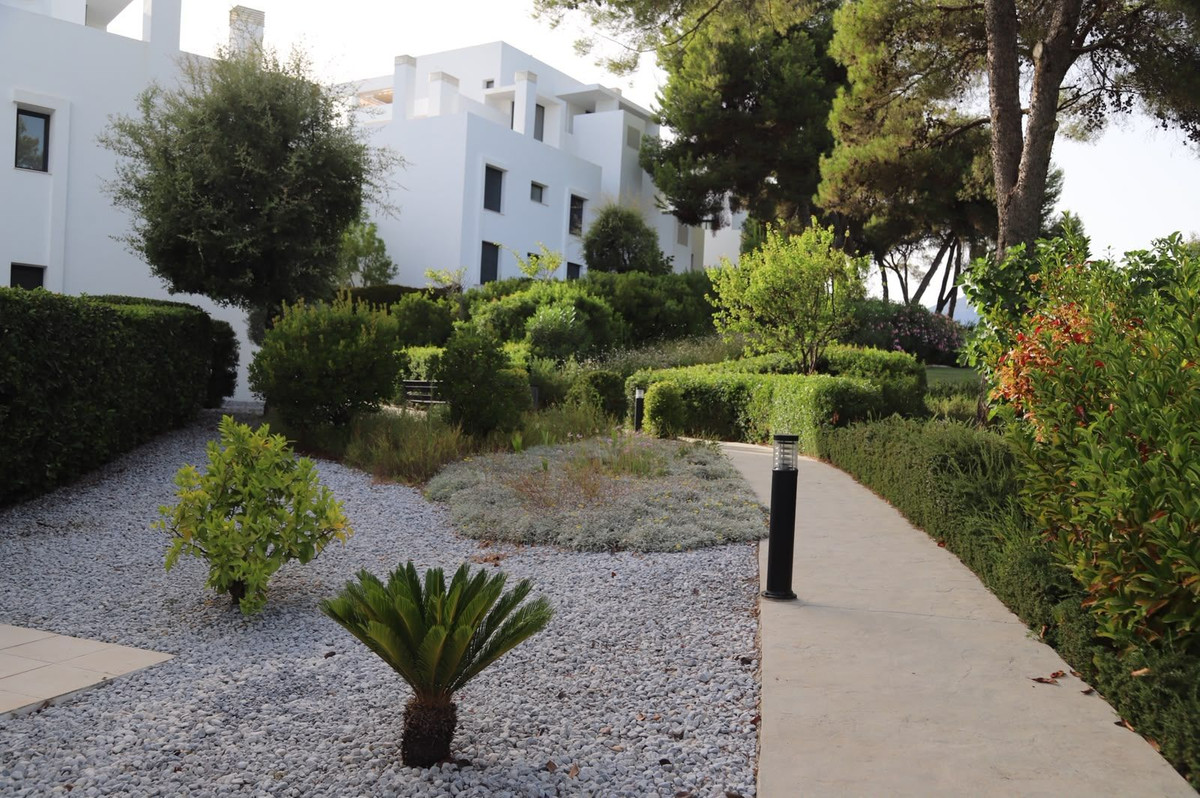 Property main view 14