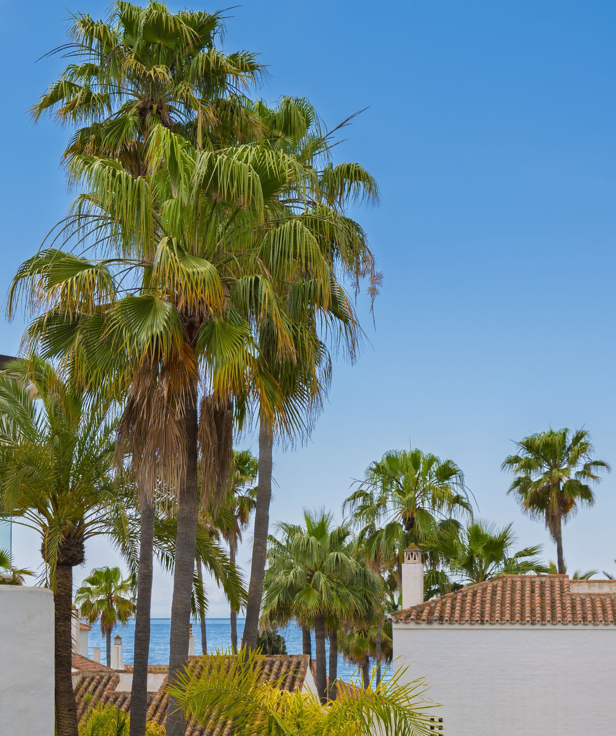 Appartement te koop in Bahía de Marbella | 3 slaapkamers H5038732