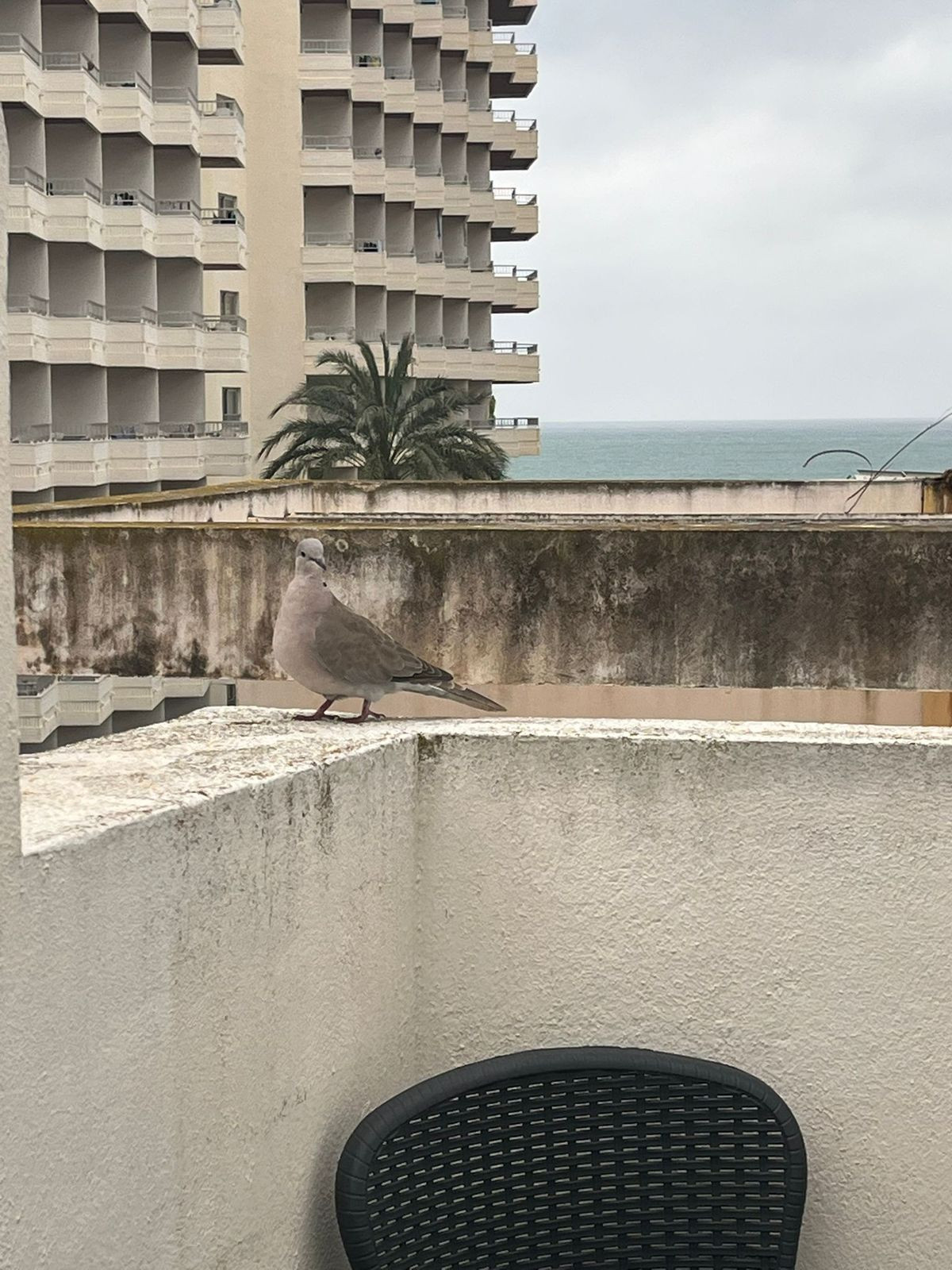 Property main view 11