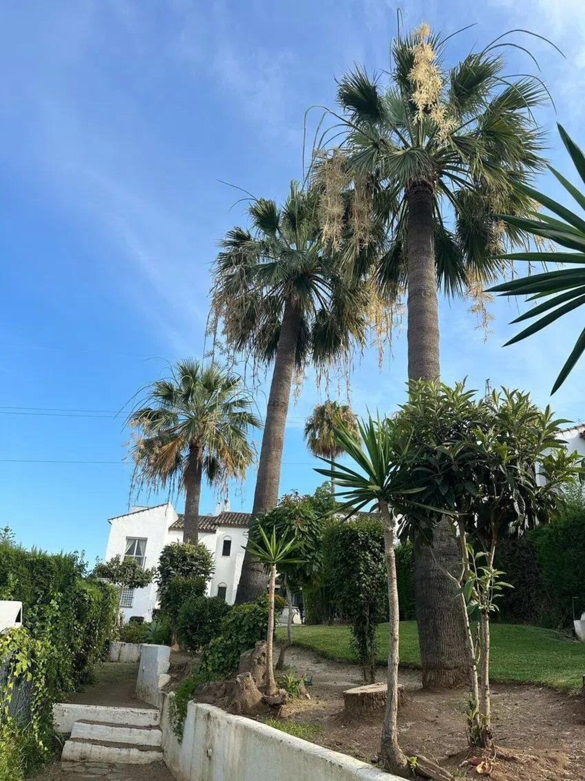 Property main view 27