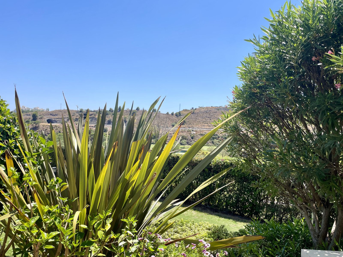 Property main view 24