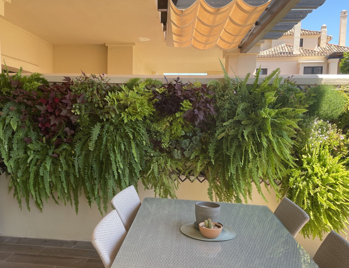 Property main view 25