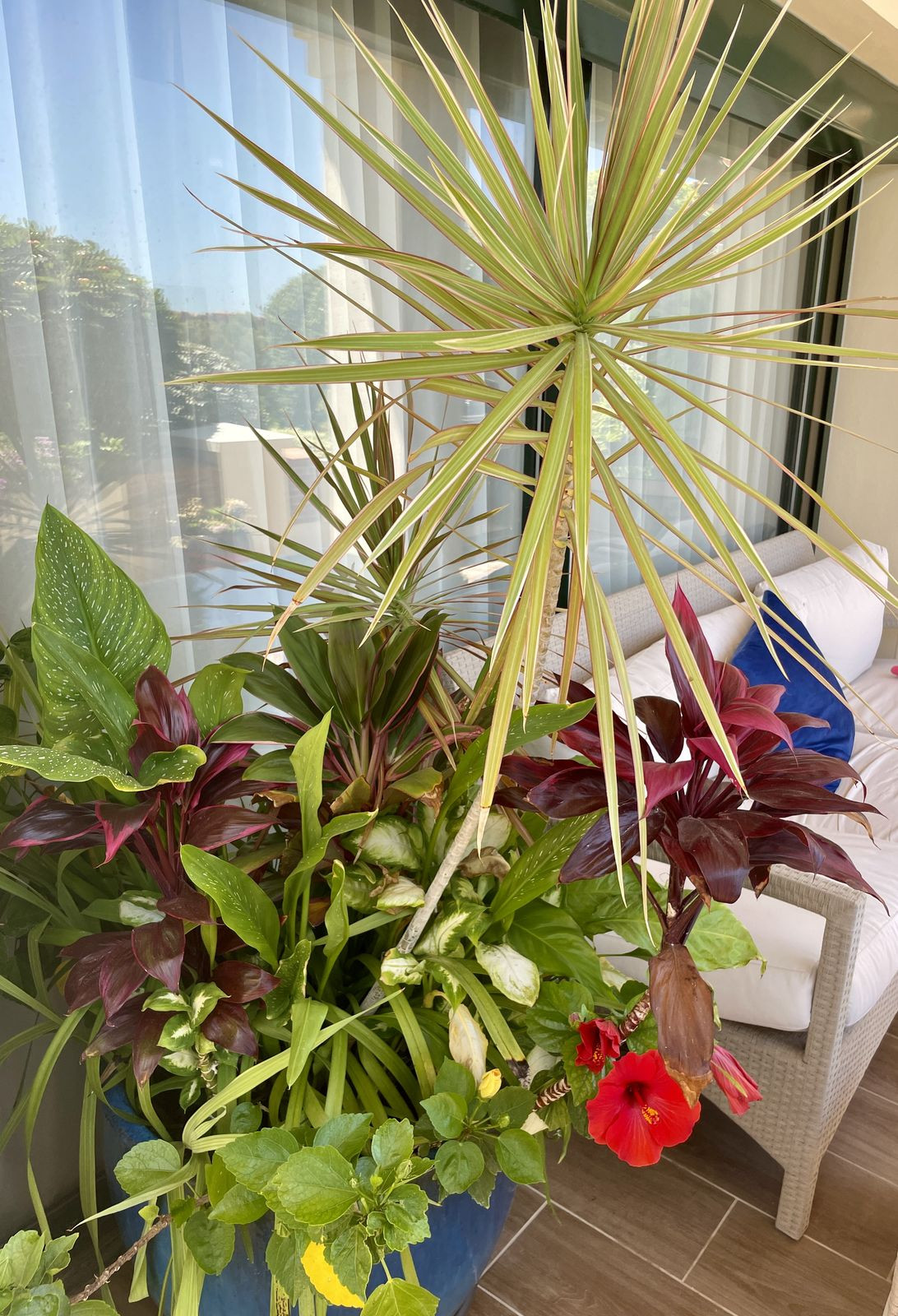 Property main view 27