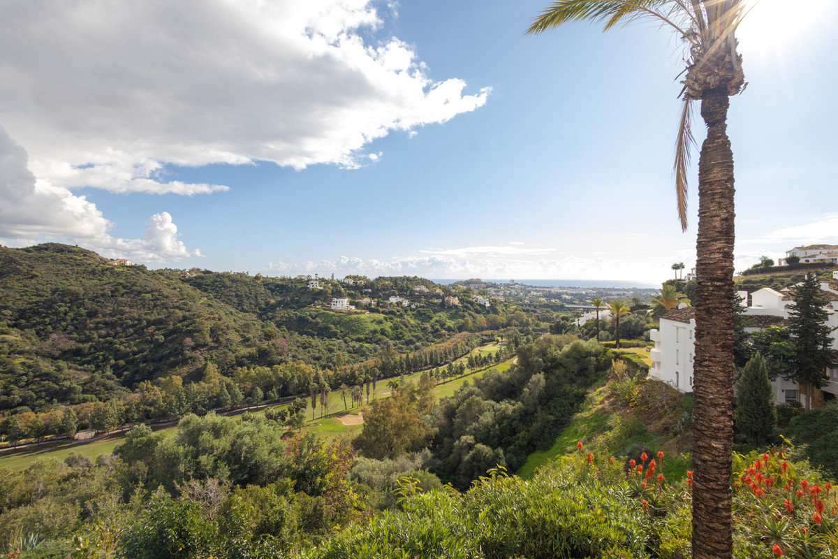 Property main view 25