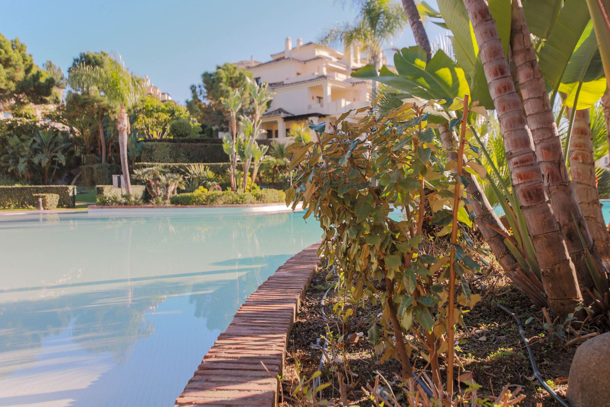 Property main view 40