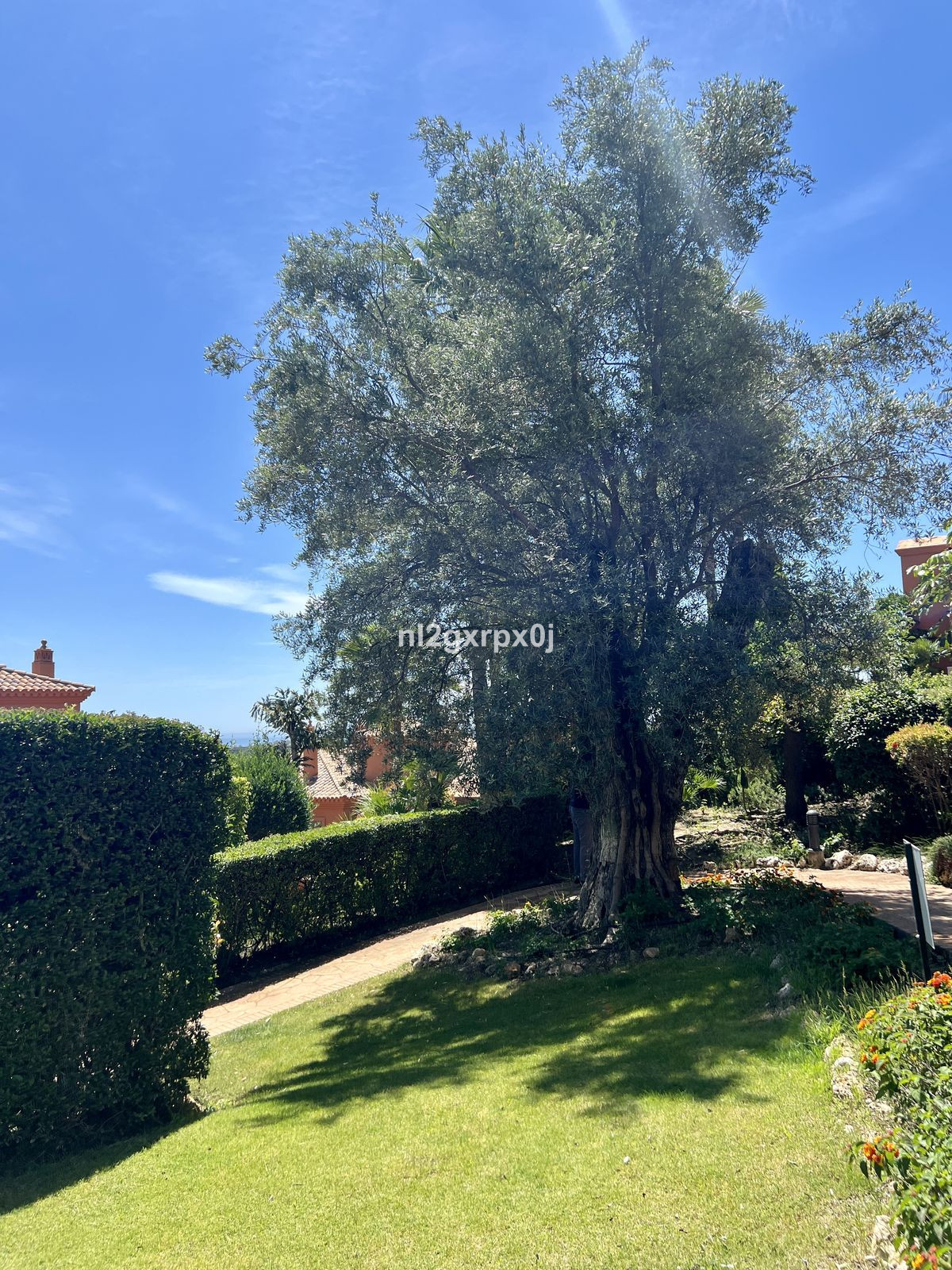 Property main view 24