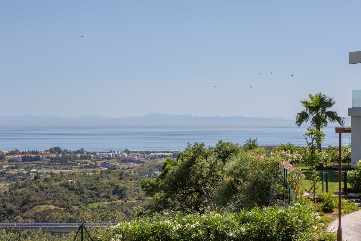 Property main view 2