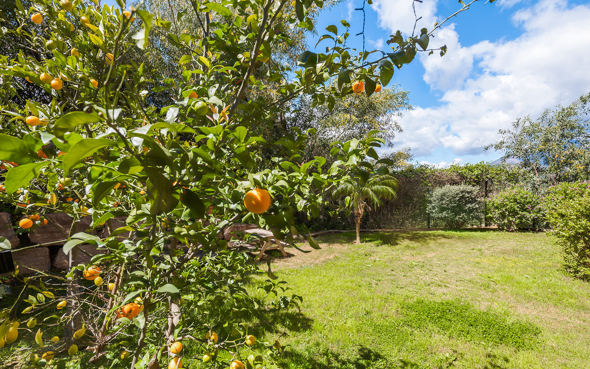 Property main view 25