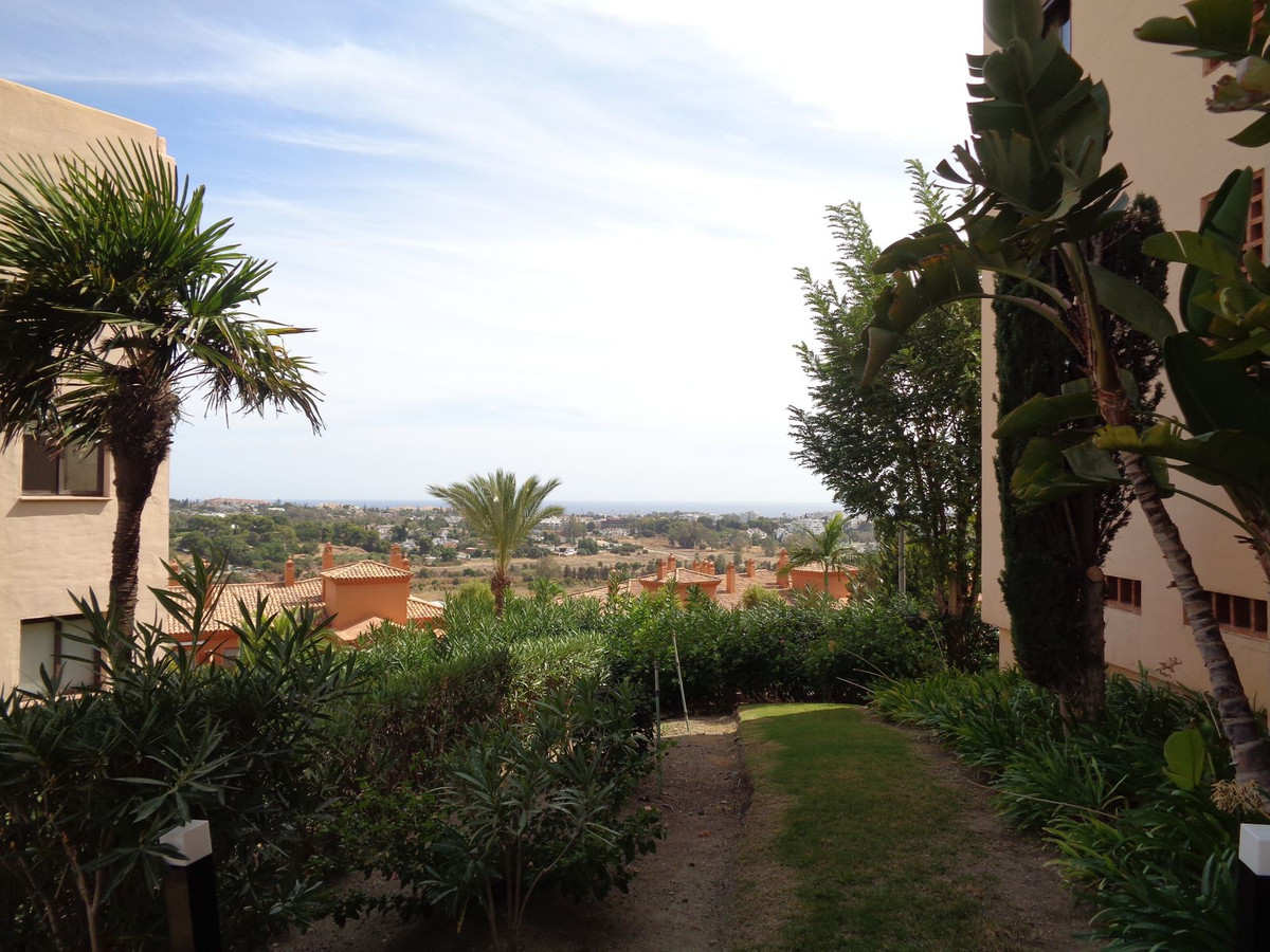 Property main view 67