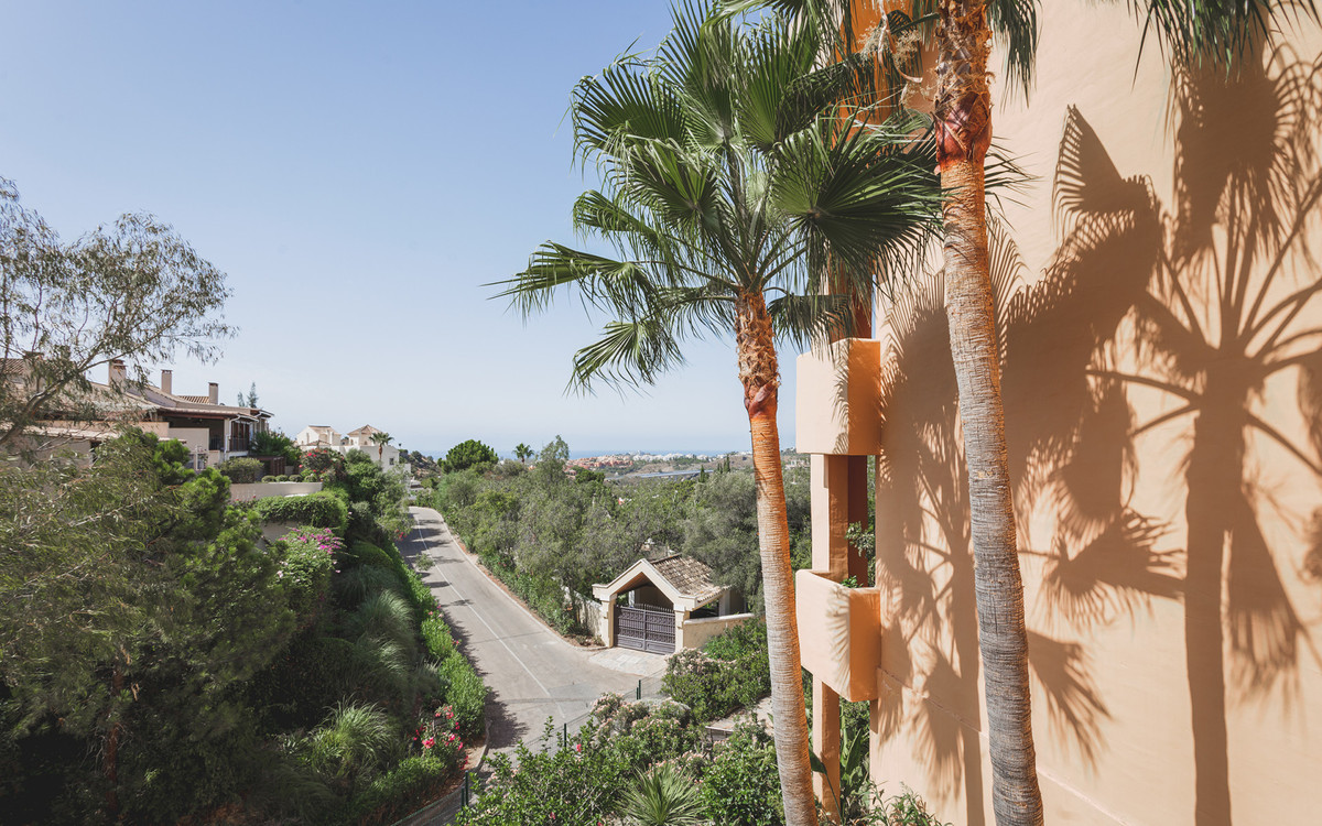 Property main view 20