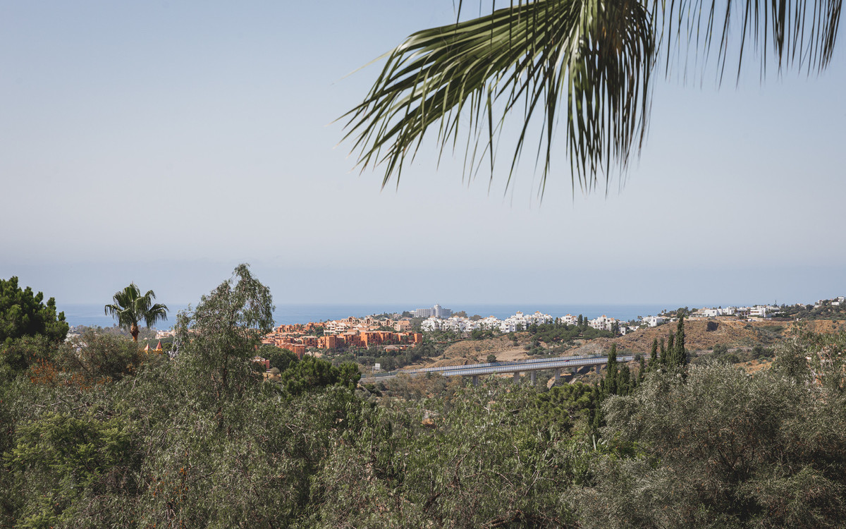 Property main view 22