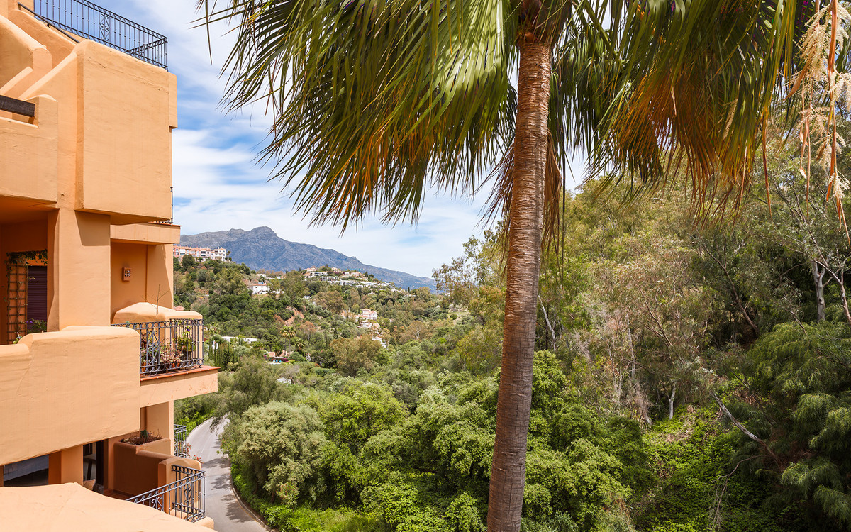 Property main view 24