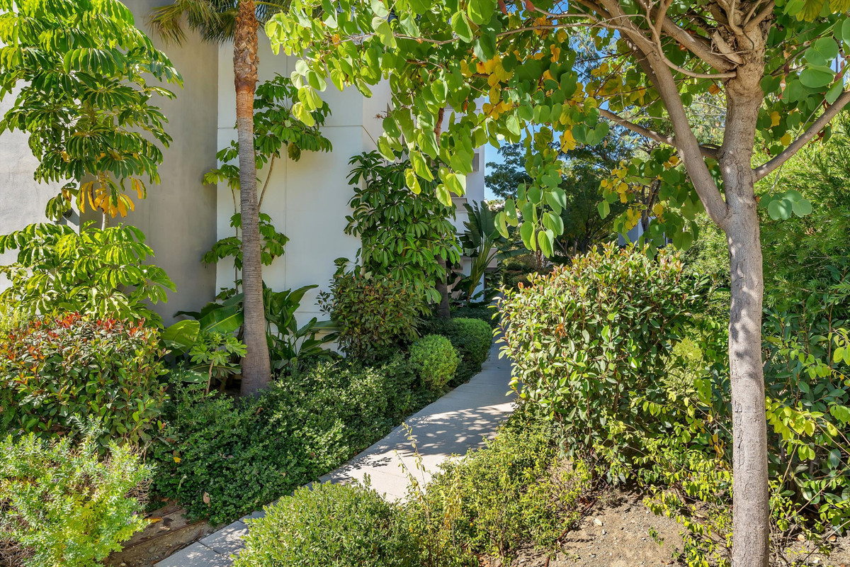 Property main view 30