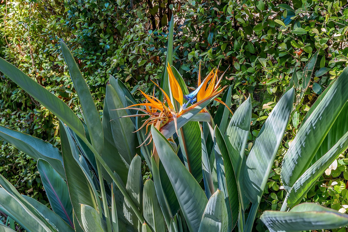 Property main view 31