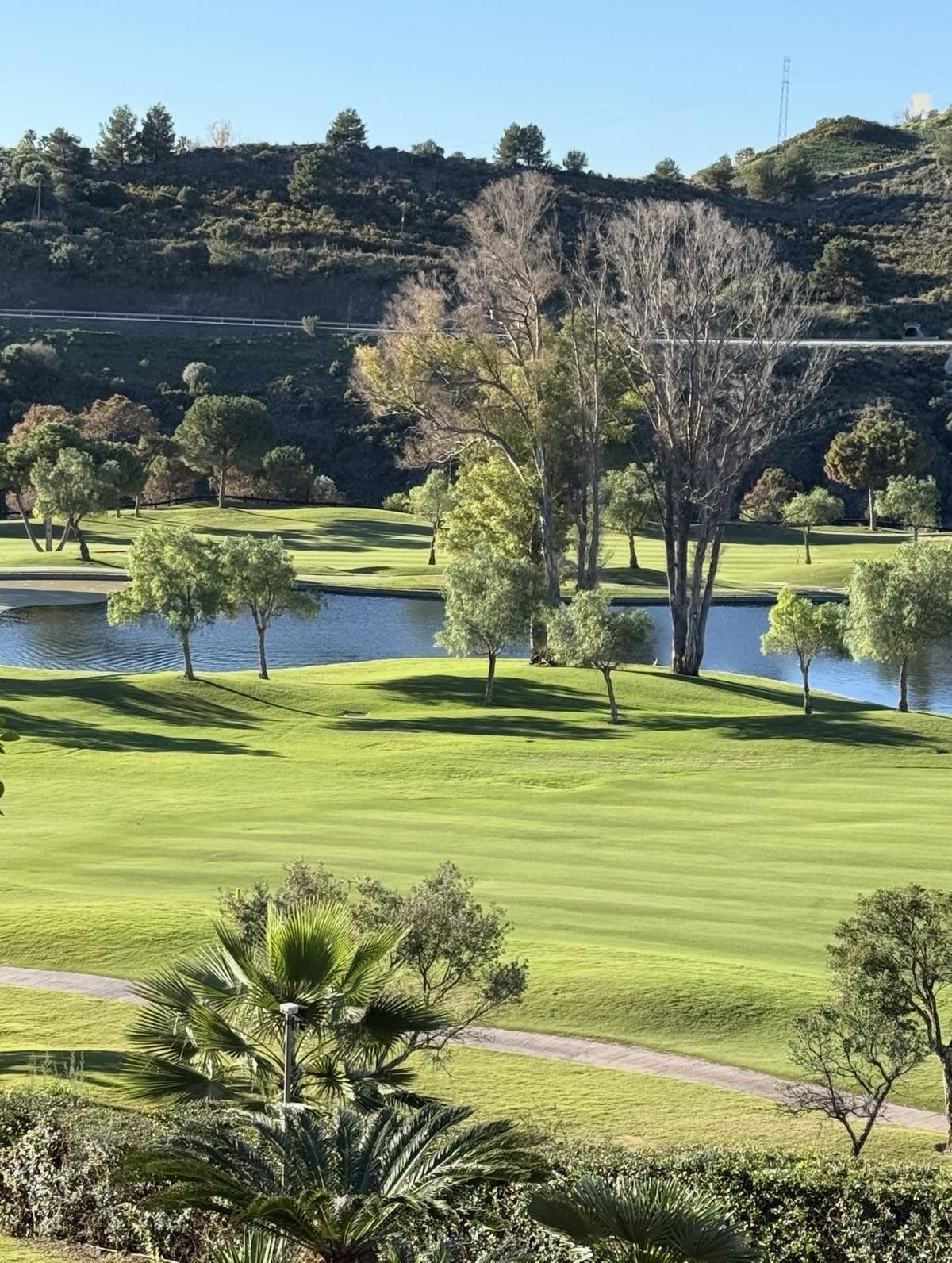 Property main view 16