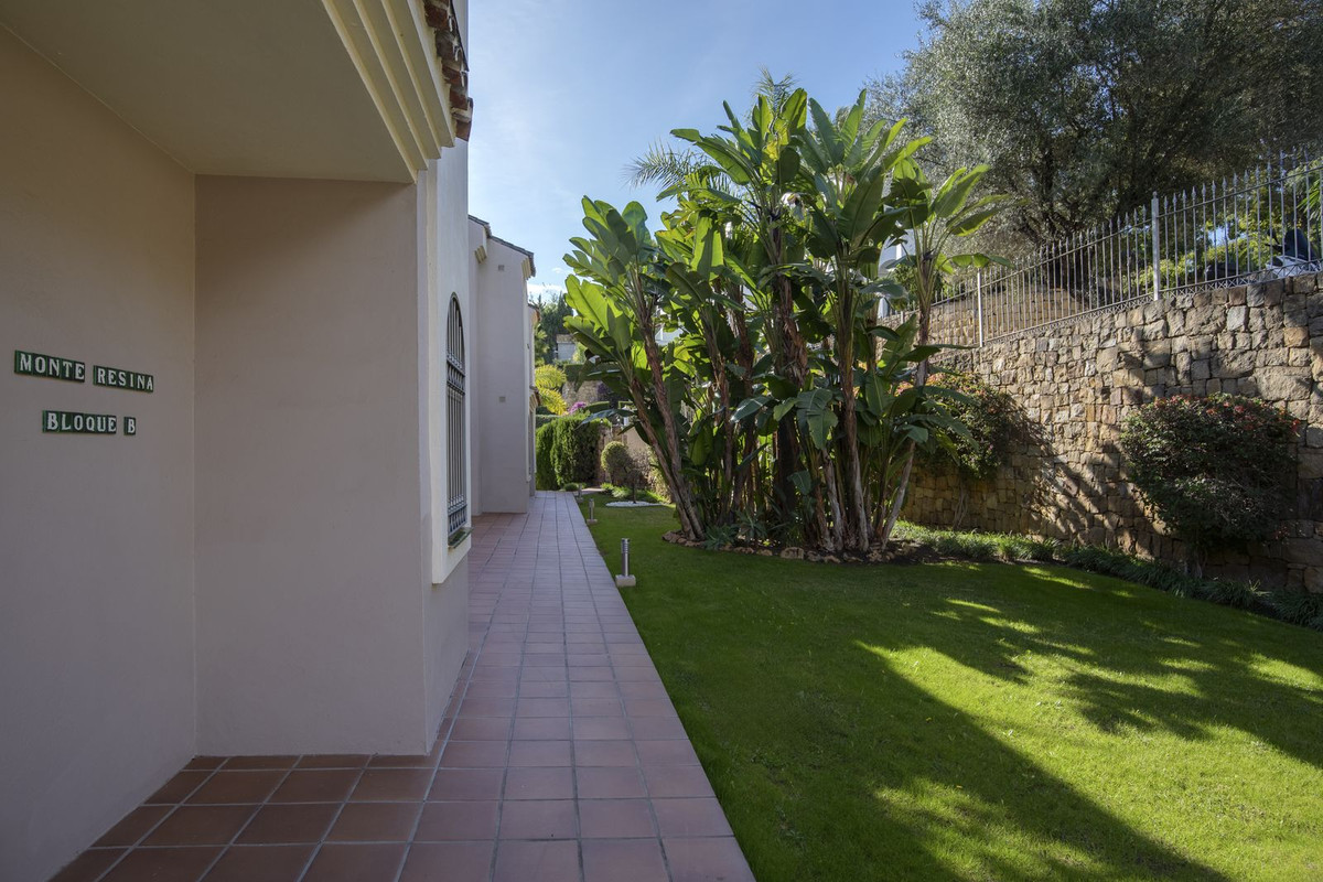 Property main view 32