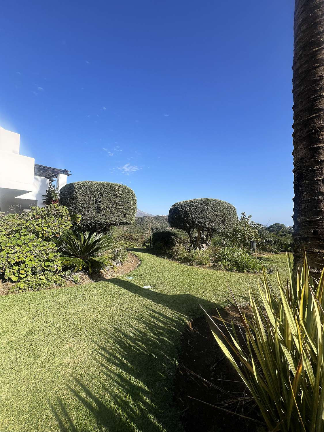 Property main view 44