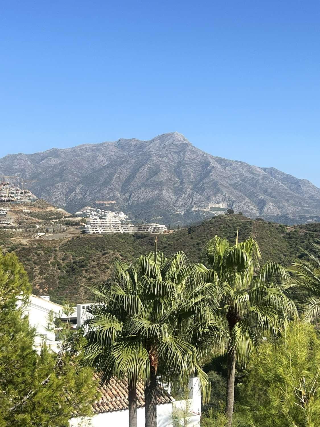 Property main view 7