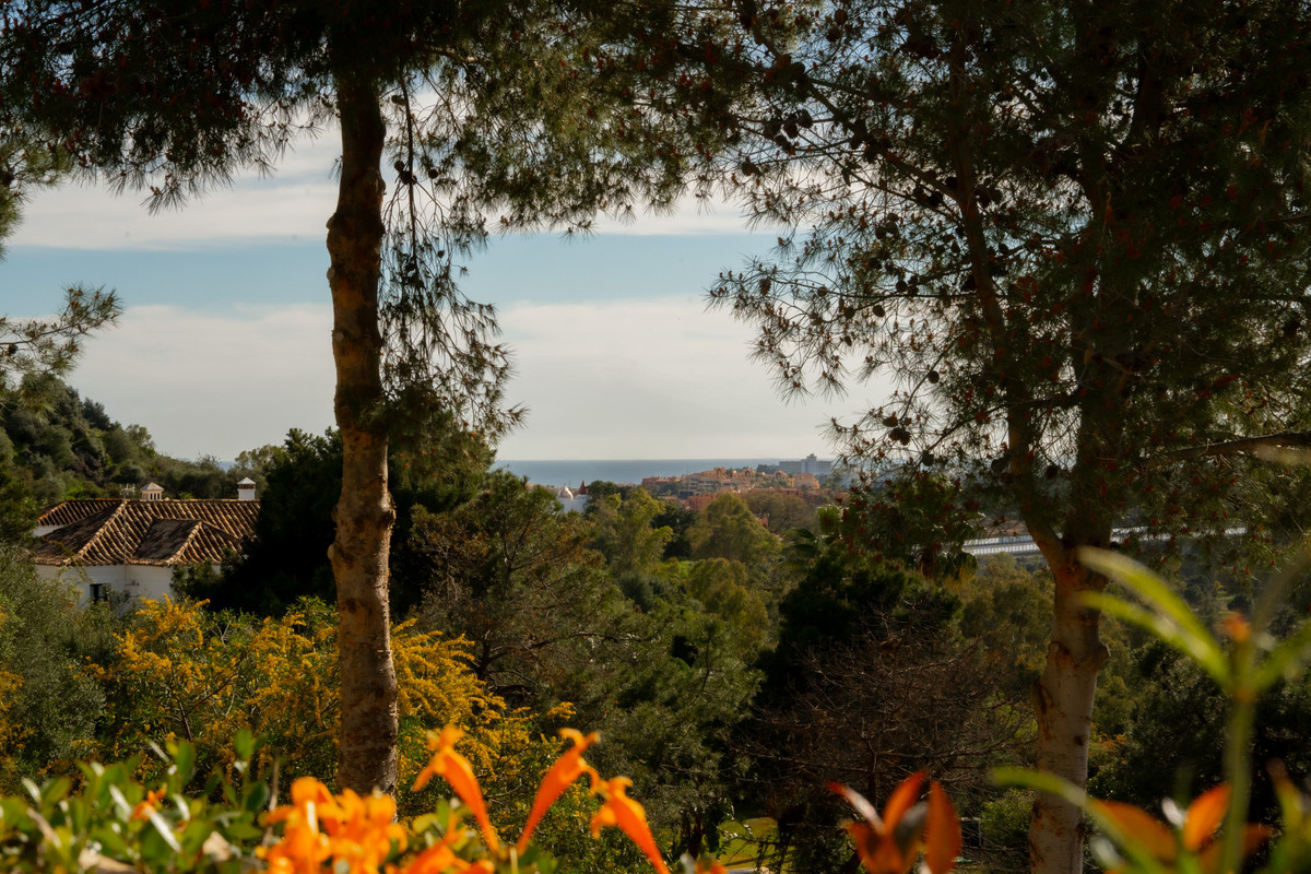 Property main view 30