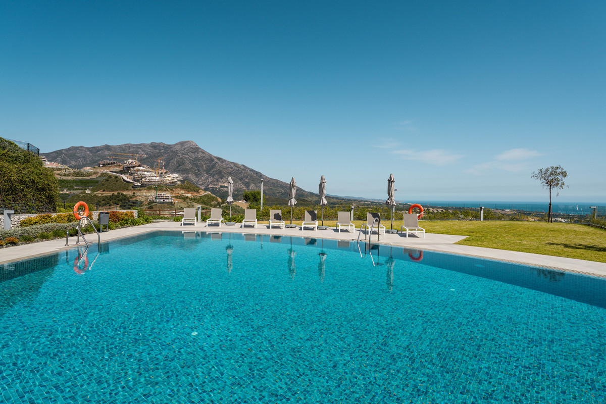 Property main view 41