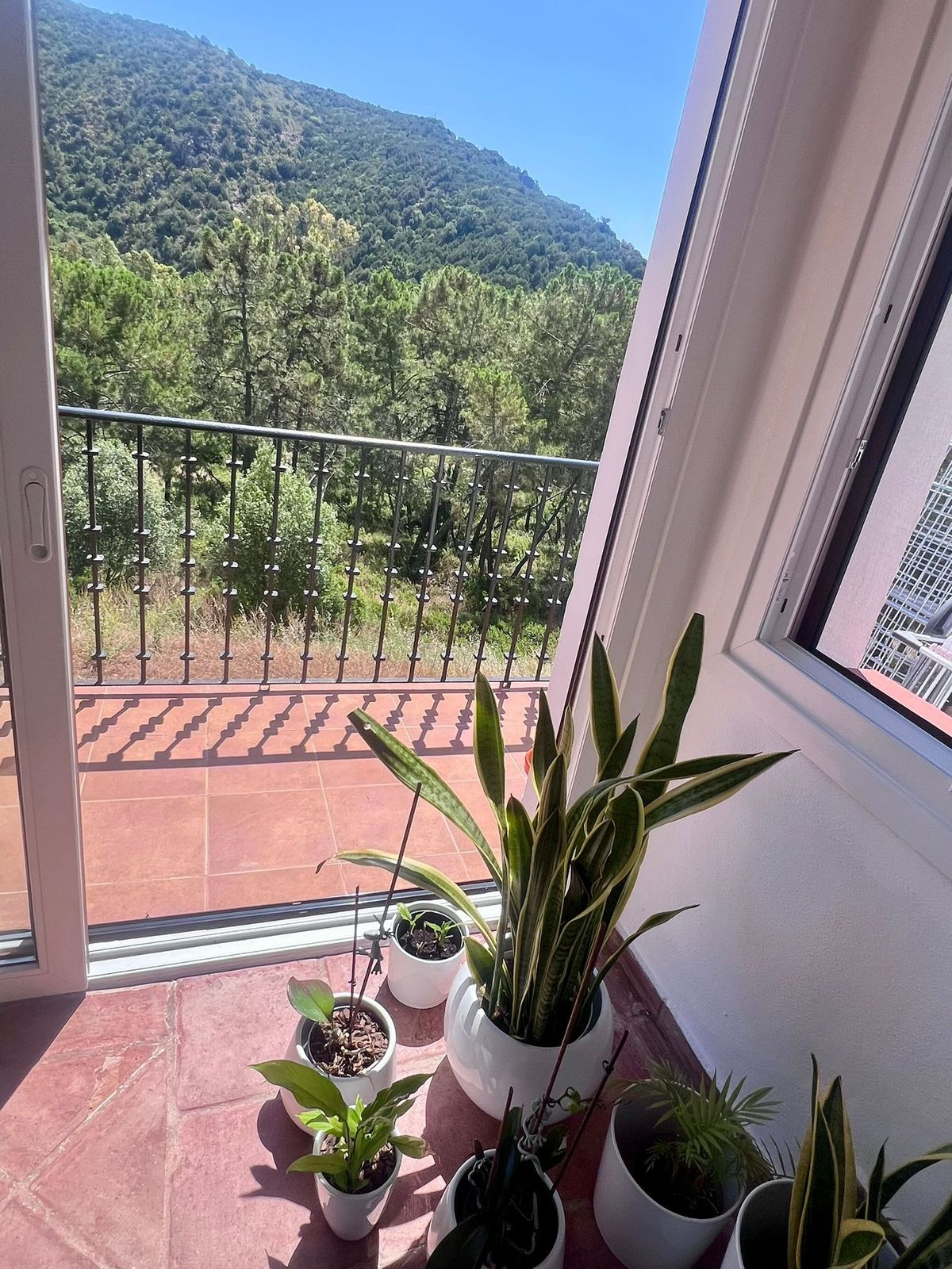 Property main view 15