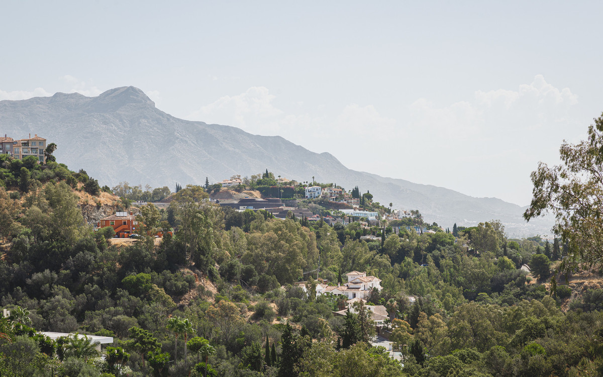Property main view 21