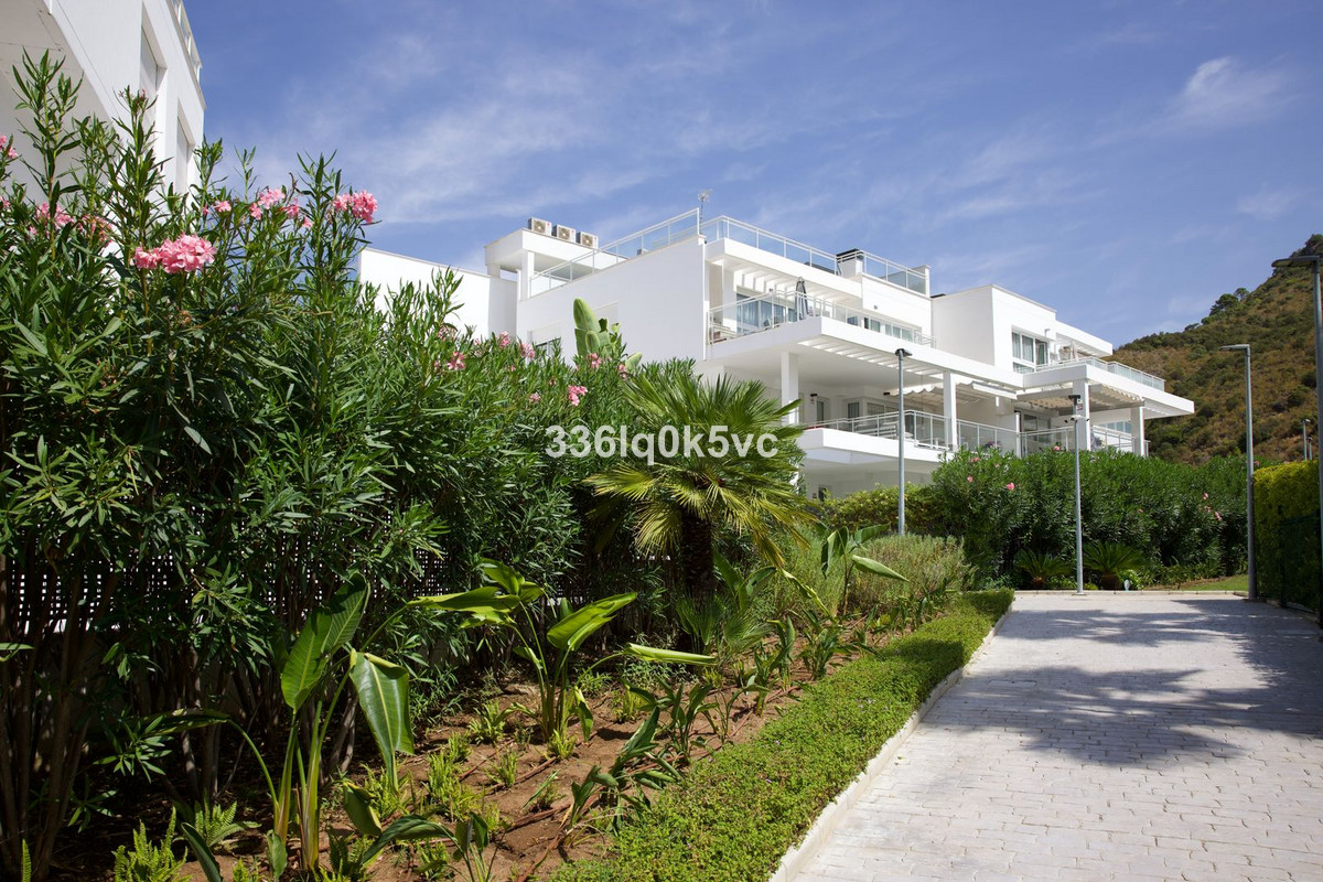 Property main view 52
