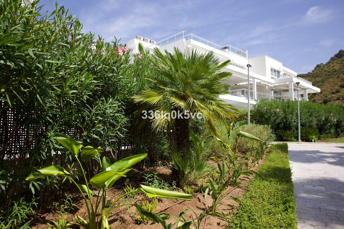 Property main view 54