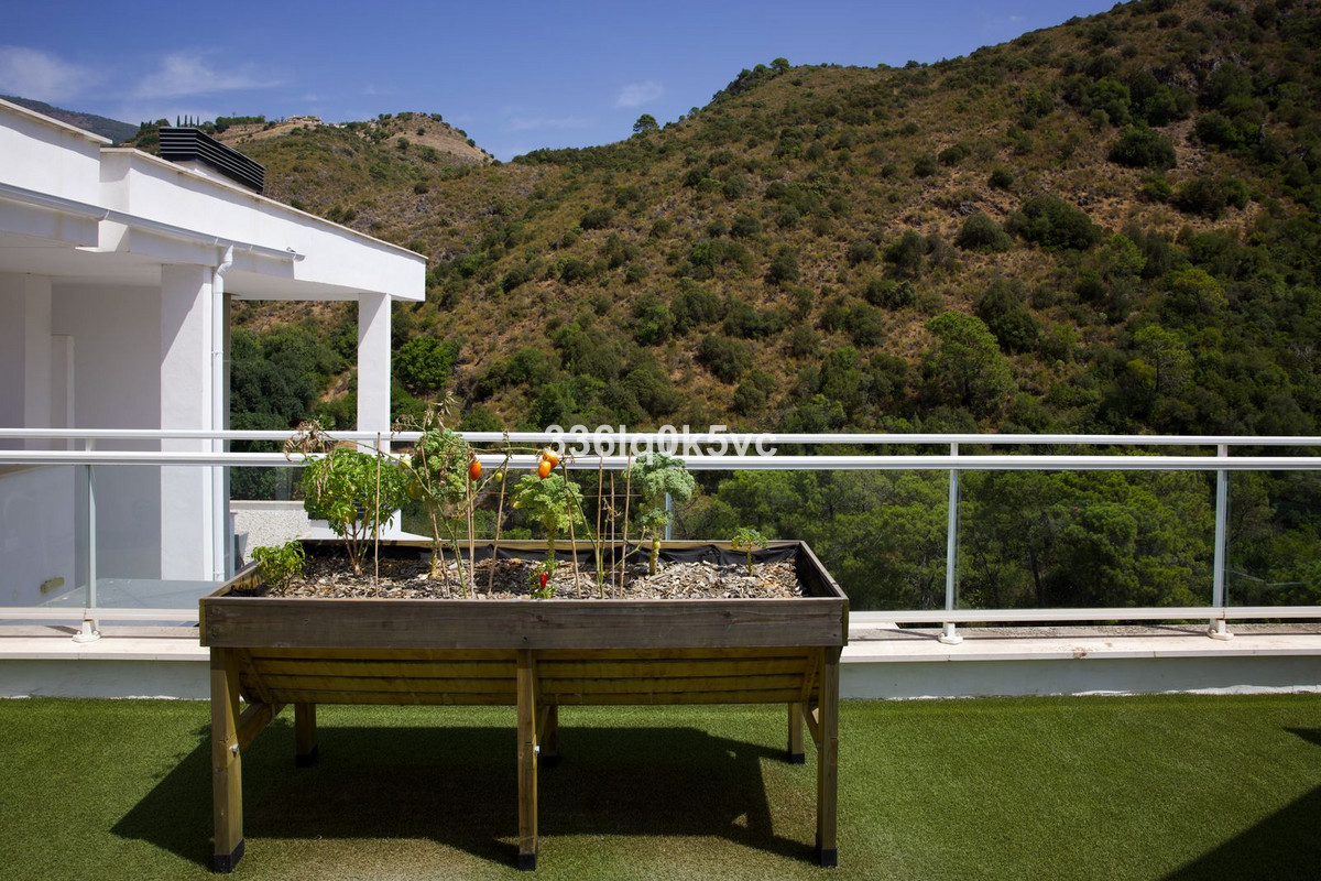 Property main view 72
