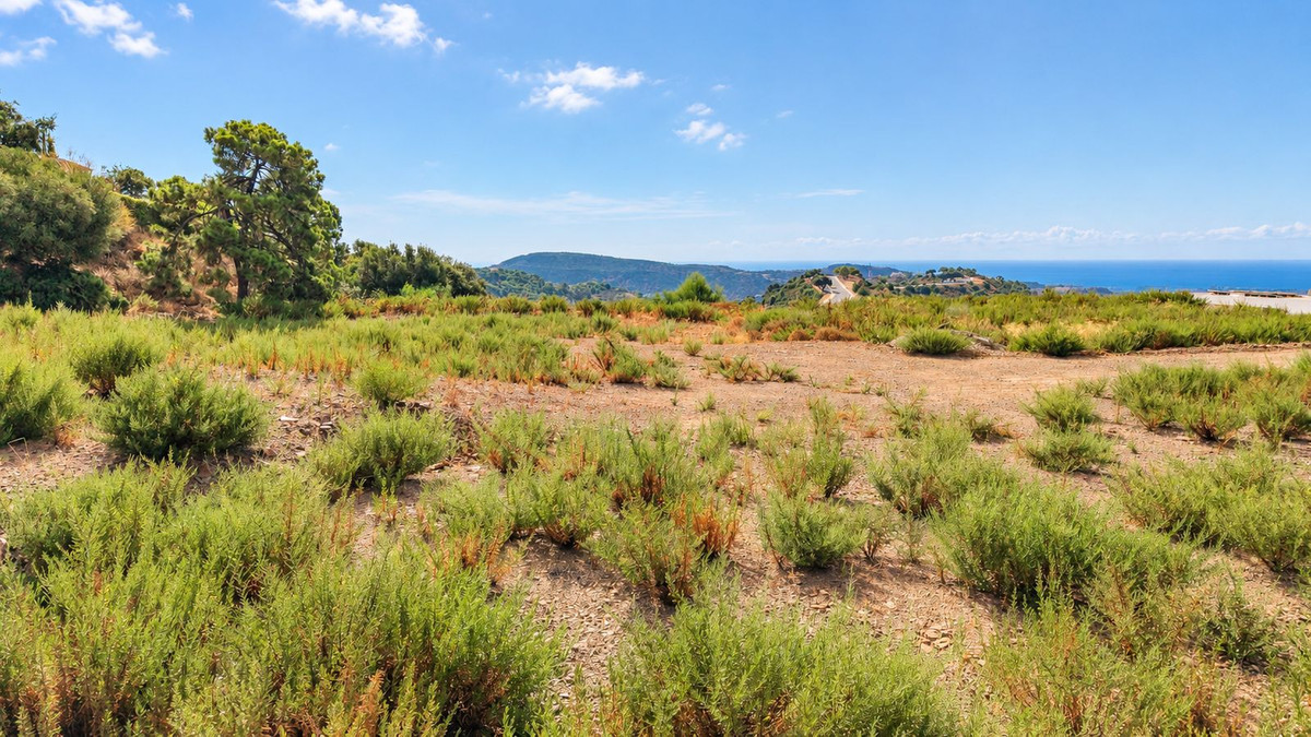 Property main view 5