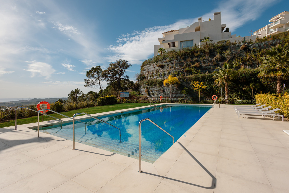 Property main view 50