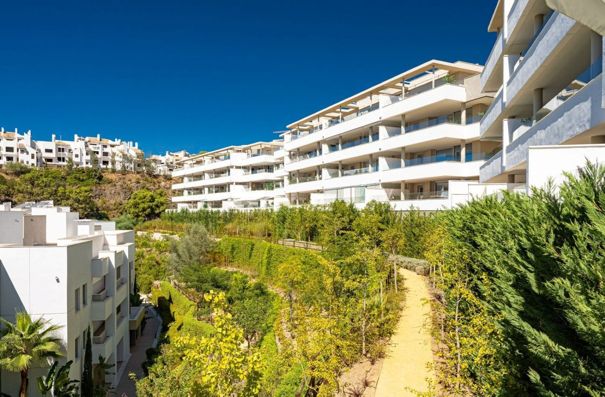 Property main view 19