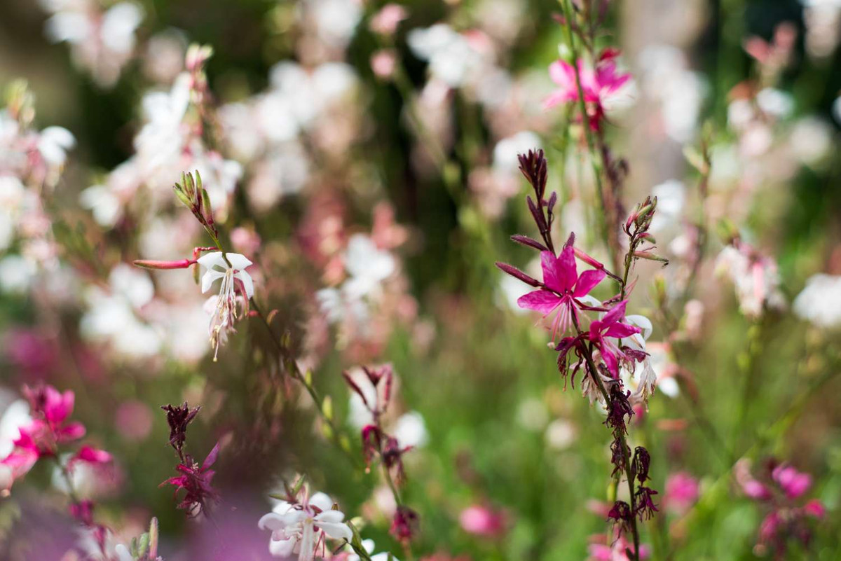 Property main view 45