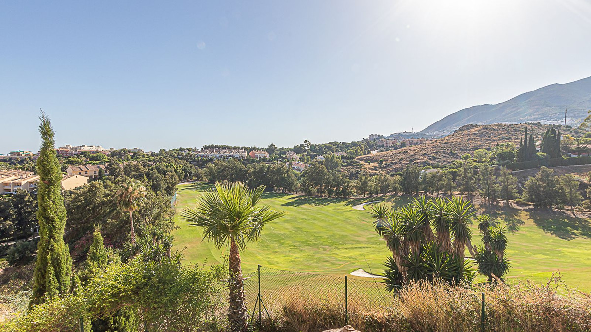 Property main view 39