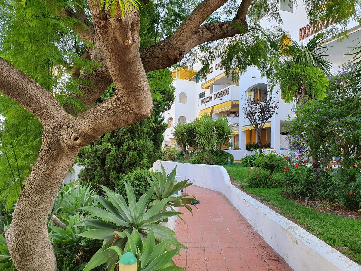 Property main view 16