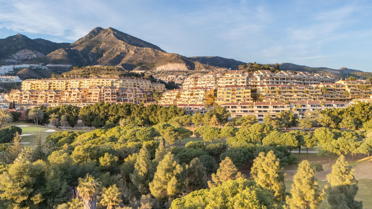 Property main view 19