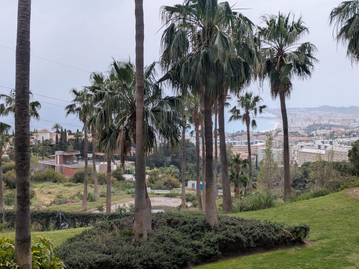 Property main view 2