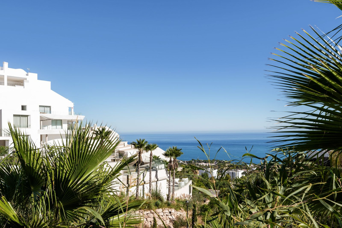 Property main view 31