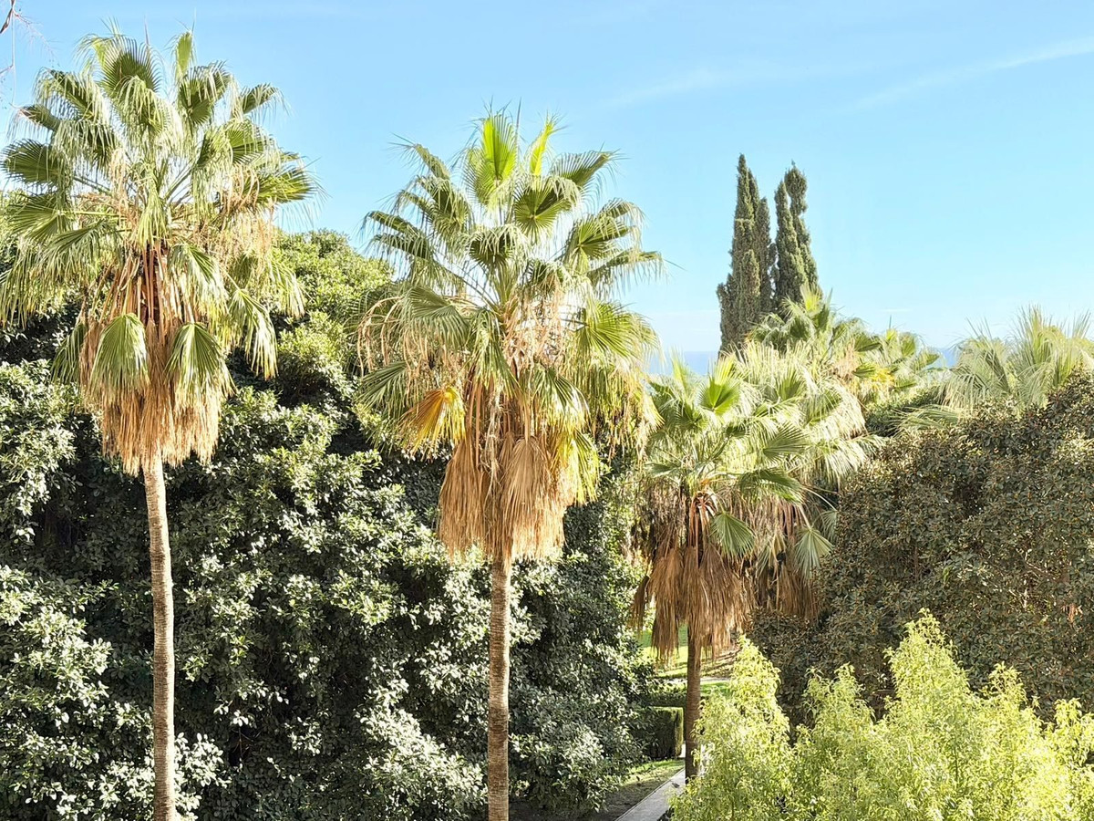 Property main view 2