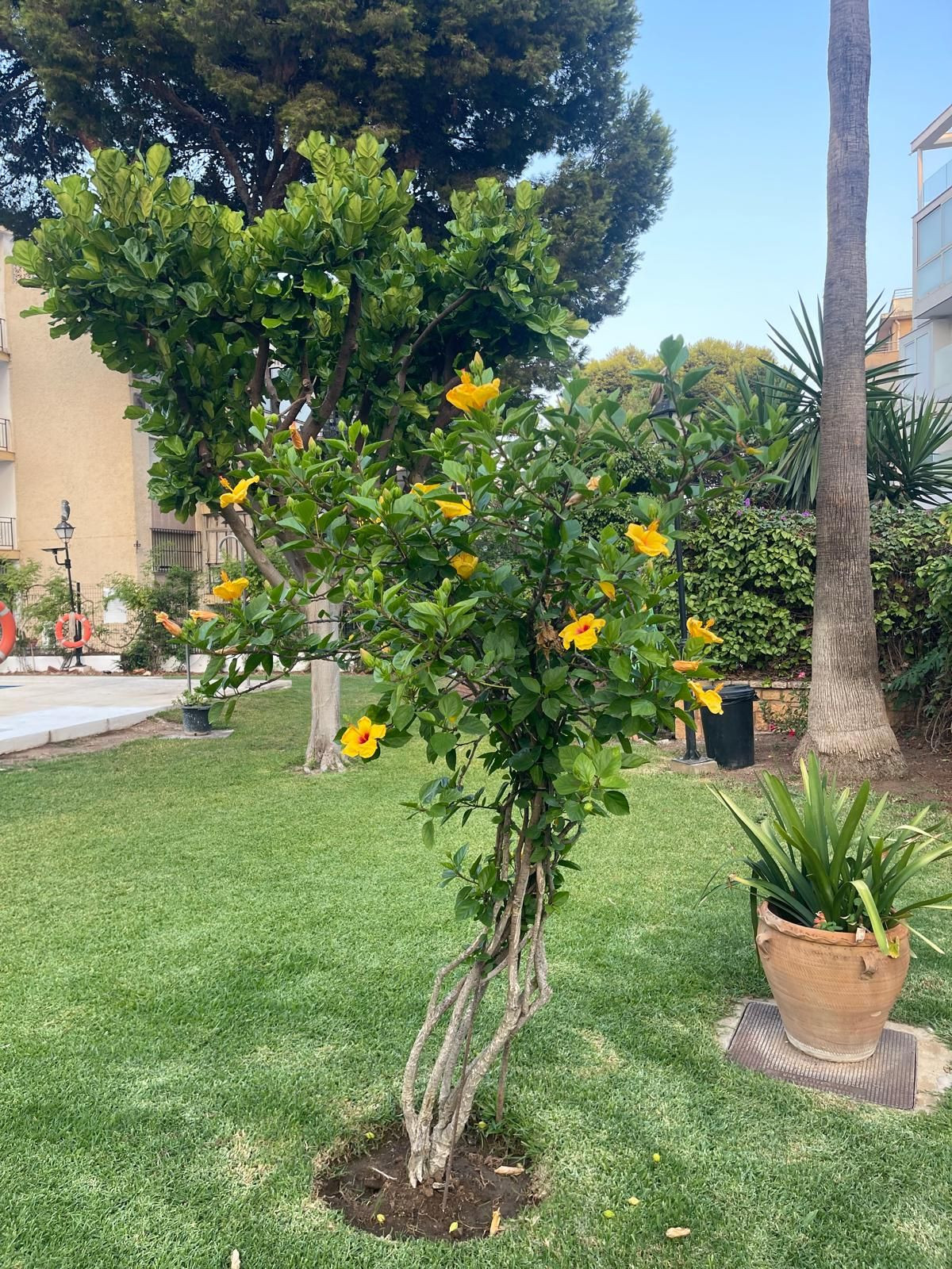 Appartement te koop in Benalmadena Costa | 1 slaapkamers H5449879