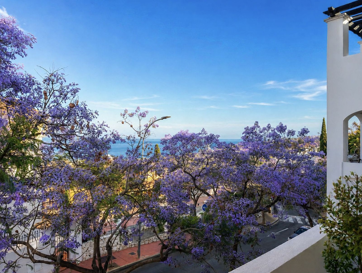 Property main view 18