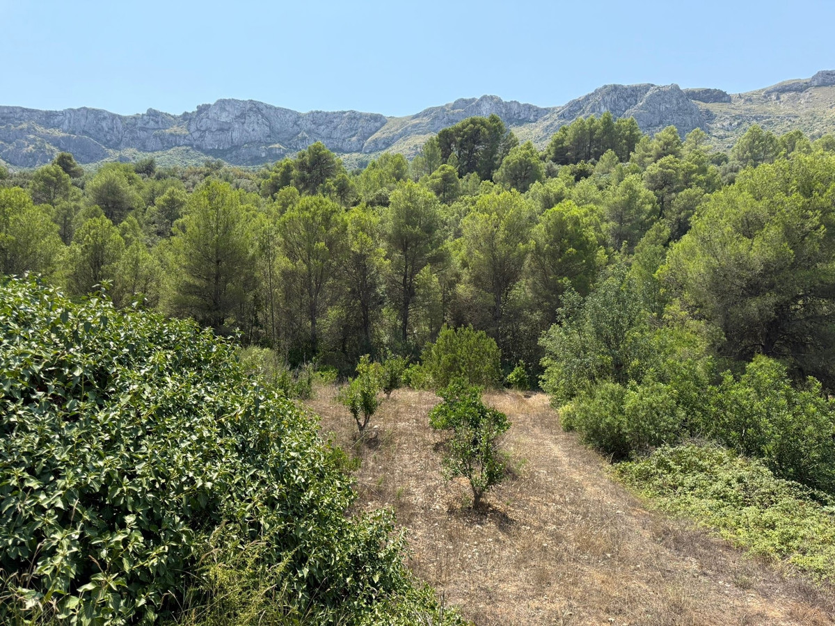 Property main view 4