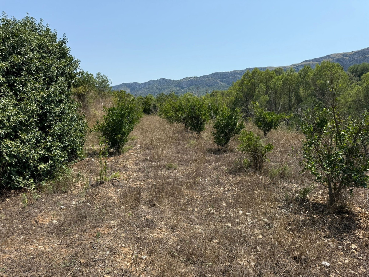 Property main view 7