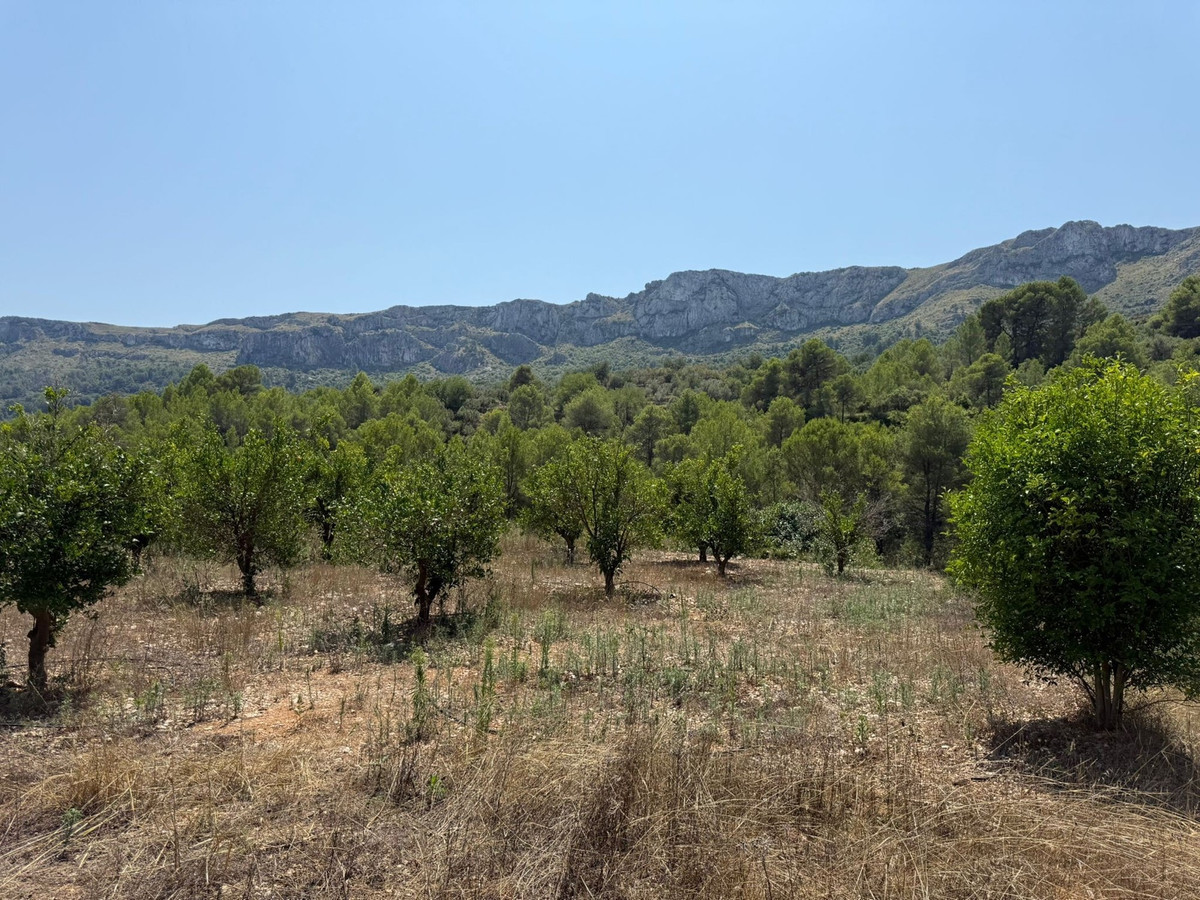 Property main view 8