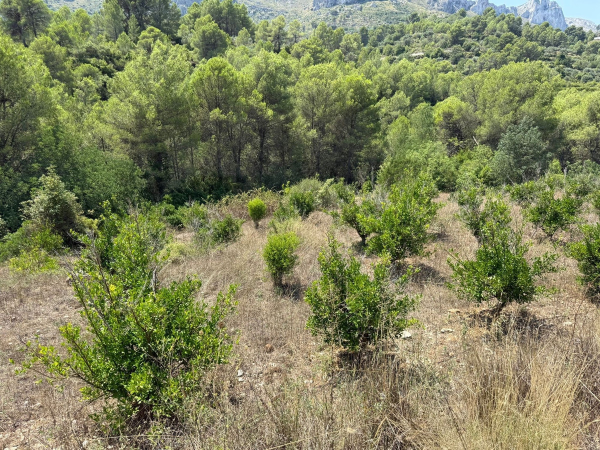 Property main view 9