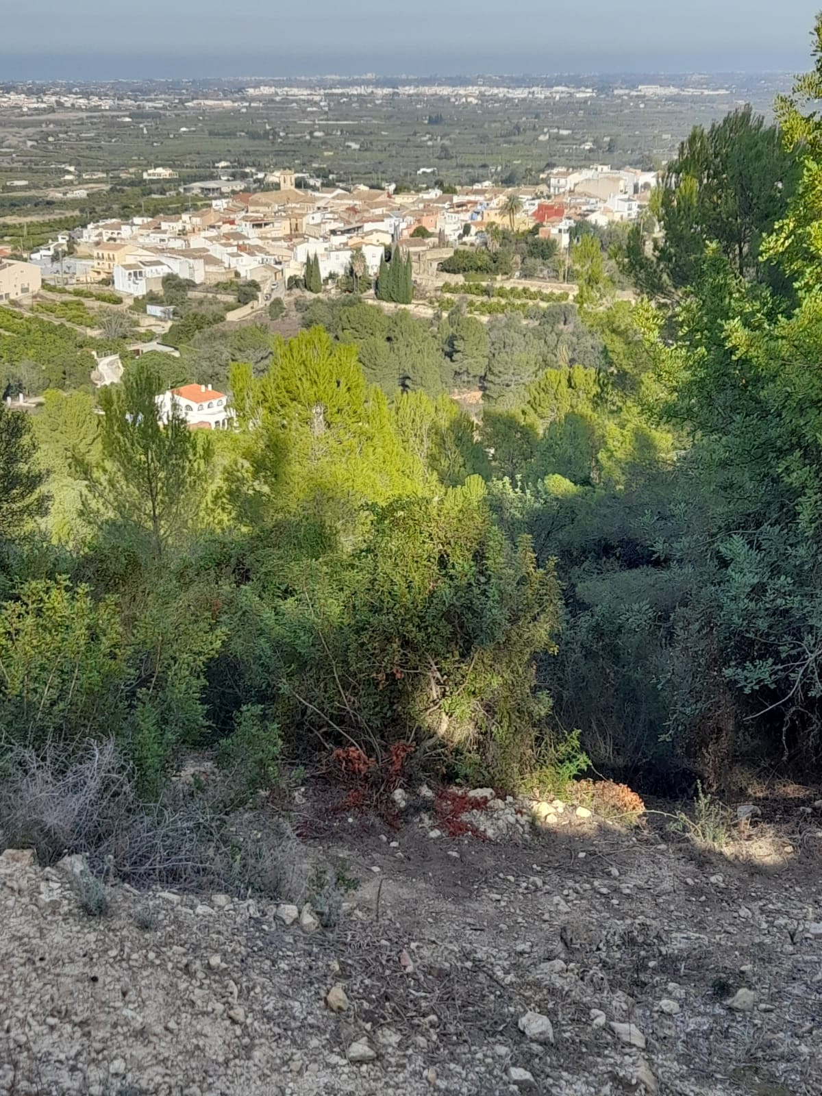 Property main view 1